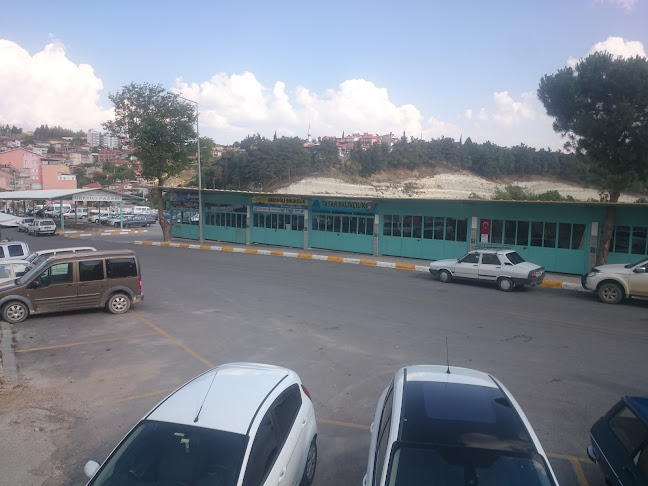 Tatar Balıkçılık