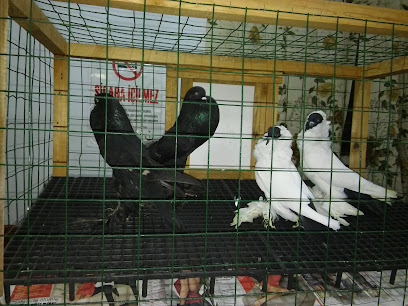 Karacabey Kıraathanesi