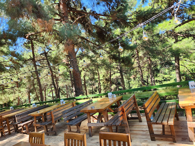 Misi Köyü Piknik Alani, Gümüştepe, Bursa Keles Yolu, 16000 Ni̇lüfer/Bursa