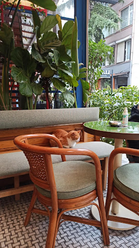 Jain arnavutköy - Beşiktaş