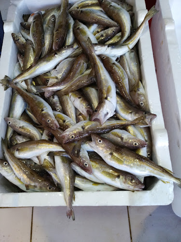 Opinii despre Çotanak Balık Hali în Giresun Merkez - Gastronomi ve konaklama