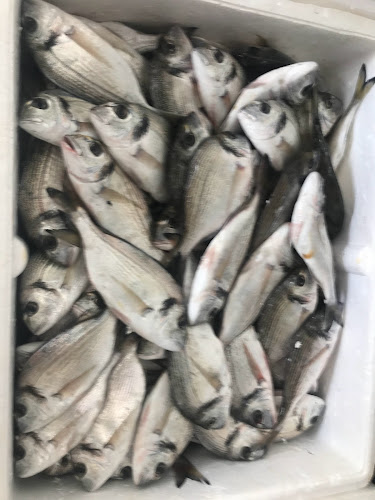 Murat Balıkçılık Side - Gastronomi ve konaklama