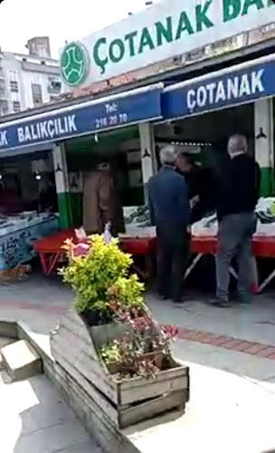 Çotanak Balık Hali - Gastronomi ve konaklama