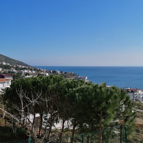 Opinii despre Meydan Fast Food în Sinop Merkez - Gastronomi ve konaklama