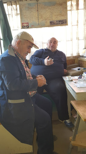 Comentarii opinii despre Özcan Restoran