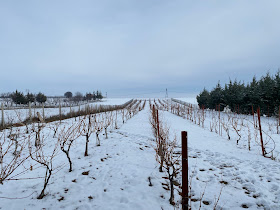 Gordias Şarapçılık, şarap evi