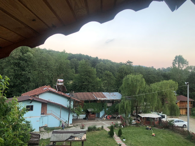 Comentarii opinii despre Pehlevan Alabalık ve Konaklama Tesisi