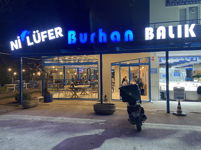 Nilüfer Burhan Balıkçılık