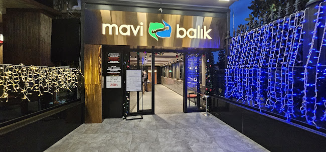 Mavi Balık