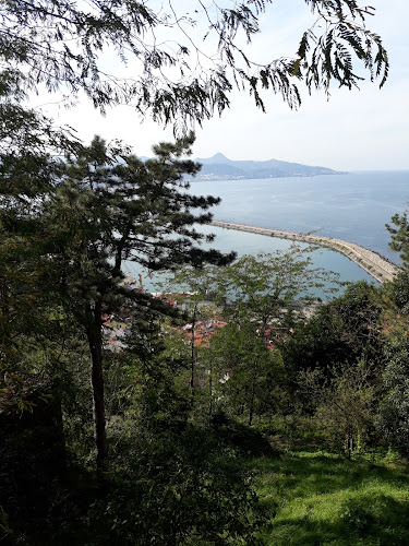 Opinii despre Uğur Böcüğü Pide în Giresun Merkez - Gastronomi ve konaklama