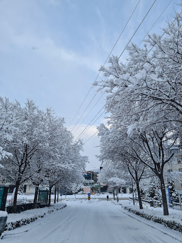 Peynirci Baba FSM - Ni̇lüfer