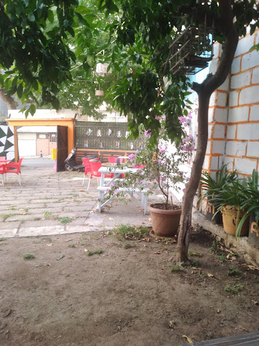 Mandalin's garden - Gastronomi ve konaklama