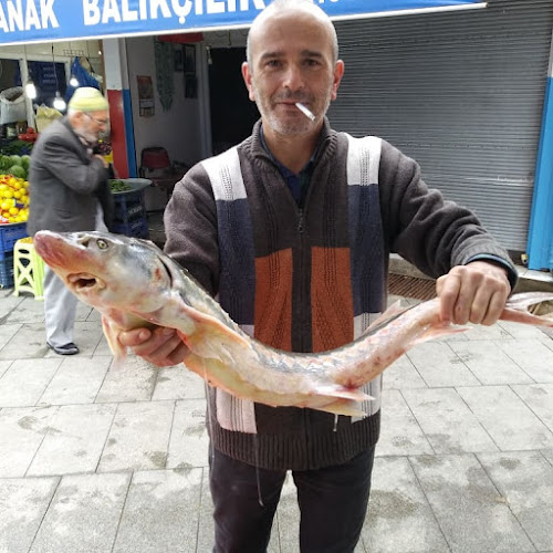 Comentarii opinii despre Çotanak Balık Hali