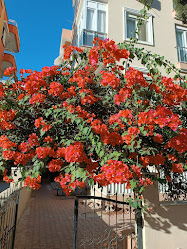 Çallı Kapalı Pazarı