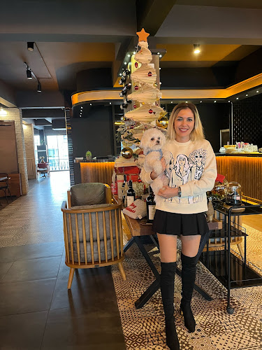 Comentarii opinii despre Piatto Lounge