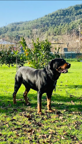 FIRAT KABADAYI - Gastronomi ve konaklama