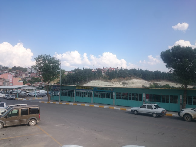 Opinii despre Tatar Balıkçılık în Demirci - Gastronomi ve konaklama