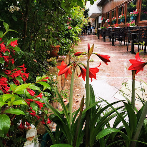 Alibahadır, Ali Bahadır Cd. No:29, 34829 Beykoz/İstanbul