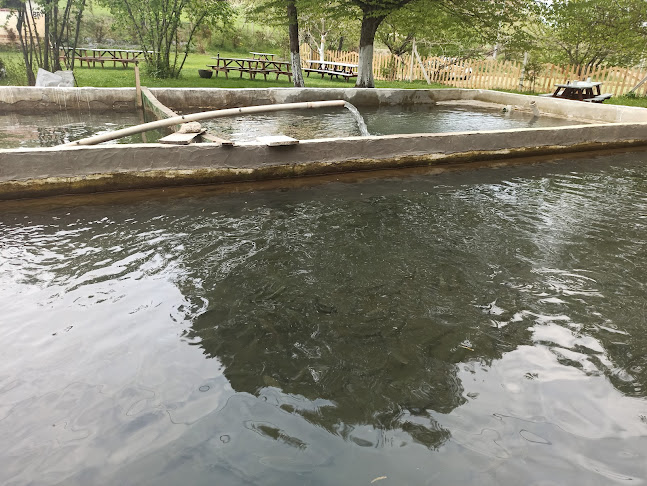 Comentarii opinii despre Kemaliye Yıldırım Alabalık Tesisleri