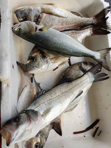 Alsancak, 1456. Sk. No: 69/b, 35220 Konak/İzmir