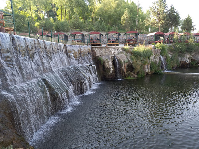 HAS AYDOĞDU Alabalık Tesisleri - Ahlat
