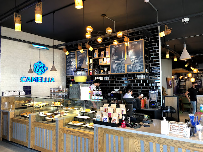 Kordonboyu cad. Cüneyt Arkın sk No:2 Dükkan 57/B-2, 34500 Büyükçekmece/İstanbul, Türkiye