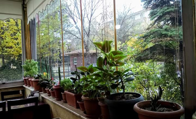 Comentarii opinii despre Hanedan Restaurant