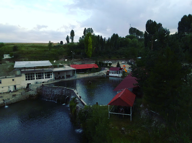 Comentarii opinii despre HAS AYDOĞDU Alabalık Tesisleri