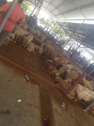 Aydınlıkevler Semt Pazarı - Mersin