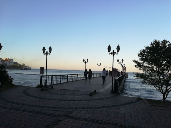 Opinii despre Meydan Köfteci în Ünye - Gastronomi ve konaklama