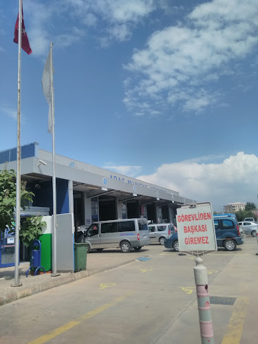 Comentarii opinii despre Domino's Pizza