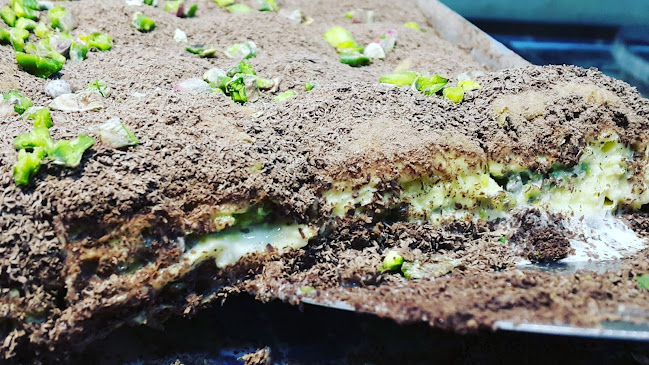 Hürriyet, Menderes Cd. No: 310-B, 35370 Buca/İzmir