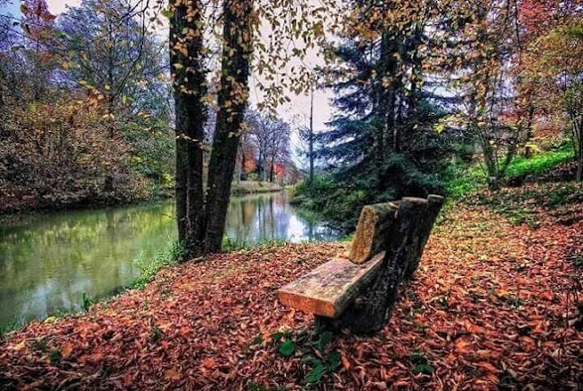 Akçaabat Ekmek Fırını