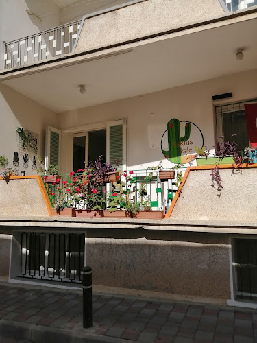 Kaktüs Kafe - Gastronomi ve konaklama