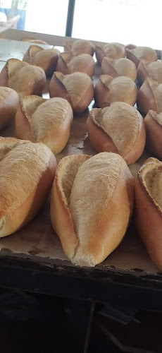 SARAY EKMEK (ENGİN KILIÇ) - Gastronomi ve konaklama