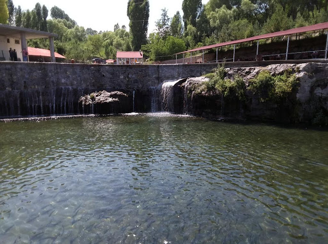 Opinii despre HAS AYDOĞDU Alabalık Tesisleri în Ahlat - Gastronomi ve konaklama