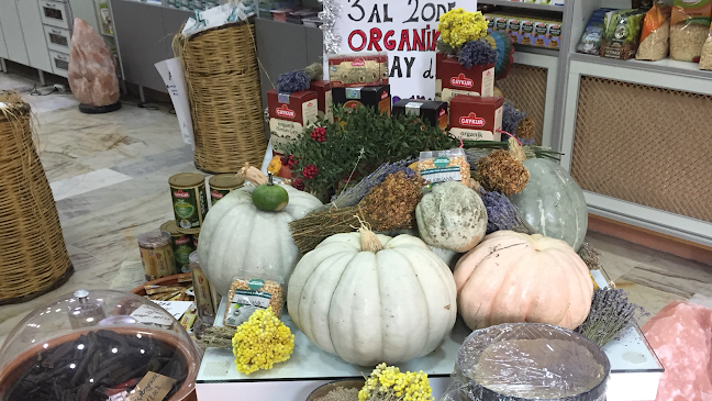 Opinii despre CANBESLER ORGANİK în İstanbul - Gastronomi ve konaklama