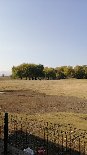 Comentarii opinii despre Dokuz pınar kahvaltı evi