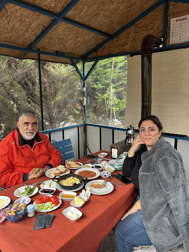 Comentarii opinii despre Şilma Alabalık