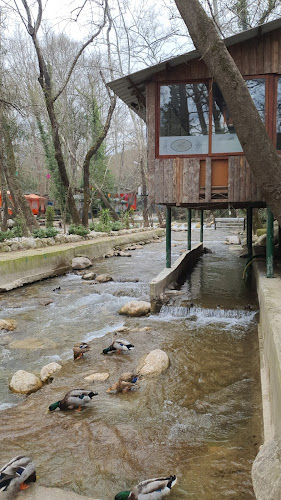 Tropik Bar - Gastronomi ve konaklama