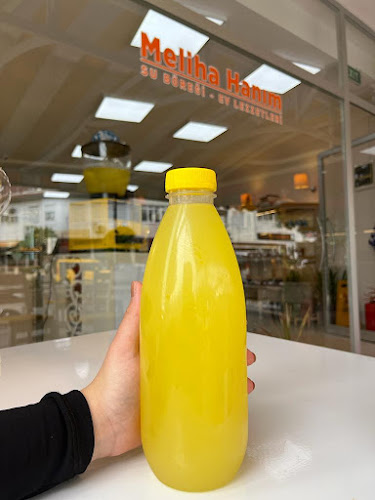 Comentarii opinii despre Meliha Hanım Su Böreği ve Ev Lezzetleri Armutalan Marmaris Şubesi