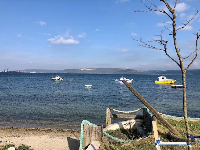 Çayhane - Gastronomi ve konaklama