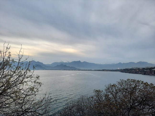 CASTLE CAFE & RESTORANT - Gastronomi ve konaklama