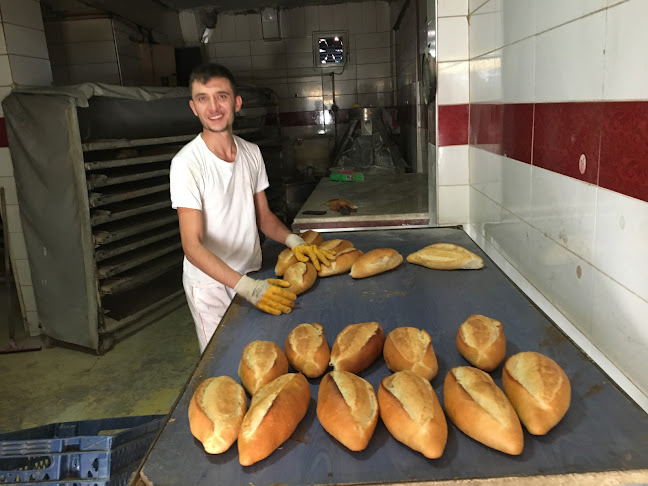 Üç Yıldız Ekmek Fabr. - Gastronomi ve konaklama