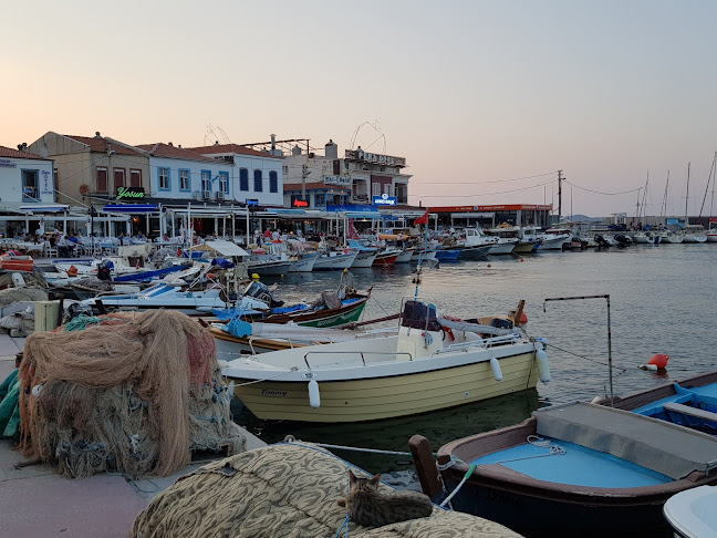 Denizli mahallesi,no:49/A,çeşmealtı, Urla/İzmir, Türkiye