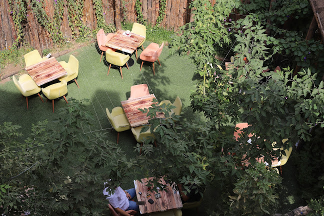 Comentarii opinii despre Cervantes Kitap Cafe