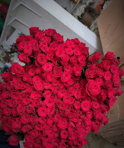 AKÇA KEBAP LAHMACUN VE TOPLU YEMEK ORGANİZASYON - Gastronomi ve konaklama