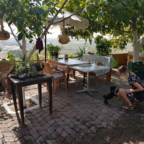 1951 Gündoğdu Kahvaltı ve Çay Bahçesi - Gastronomi ve konaklama