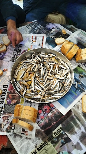 Çotanak Balık Hali - Gastronomi ve konaklama