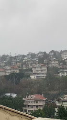 Fırın Anatolia Acarkent